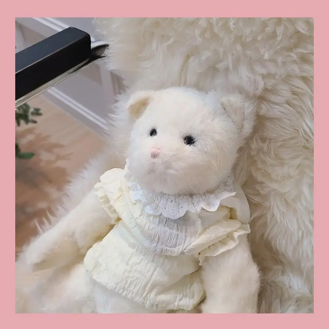 sale)보이즈베어 밀크냥이 왕고양이 인형